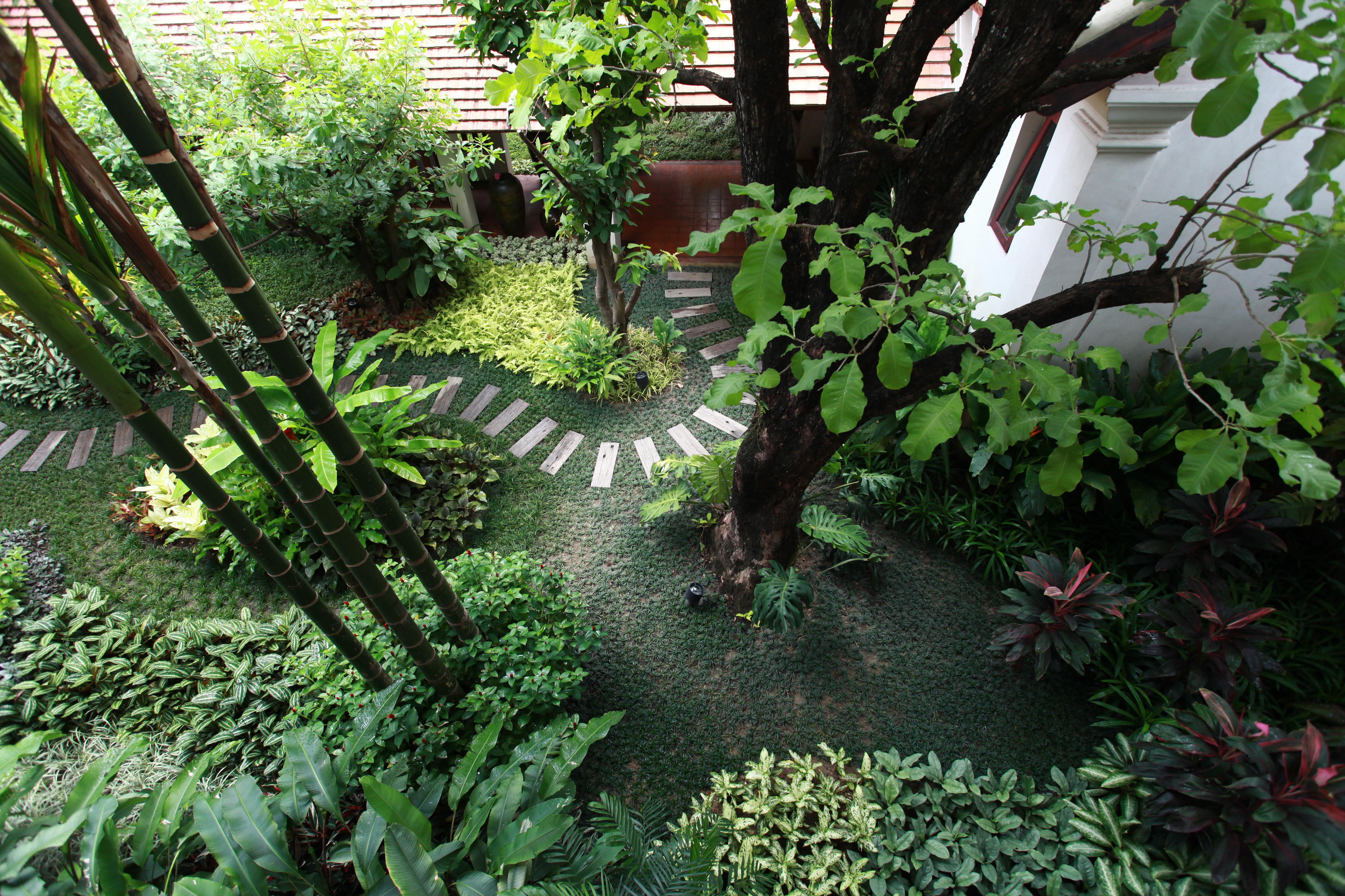 The Rim Chiang Mai — Photos 1